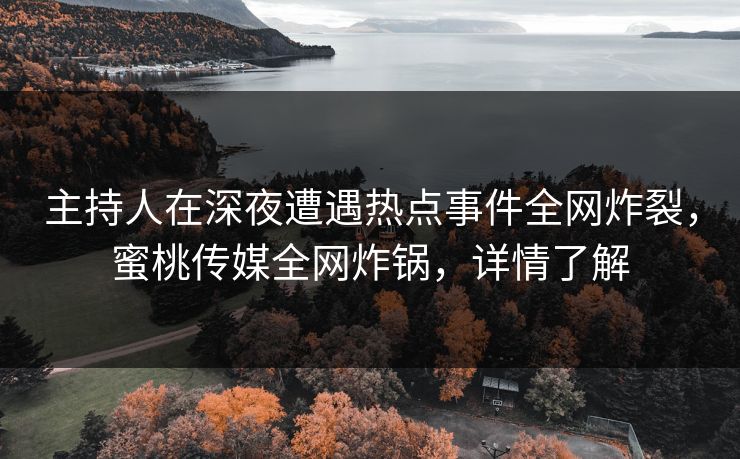 主持人在深夜遭遇热点事件全网炸裂,蜜桃传媒全网炸锅,详情了解